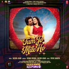 Tum Jo Mile Ho Tum Jo Mile Ho